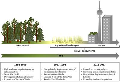 Spatio-Temporal Color Differences Between Urban and Rural Populations of a Ground Beetle During the Last 100 Years